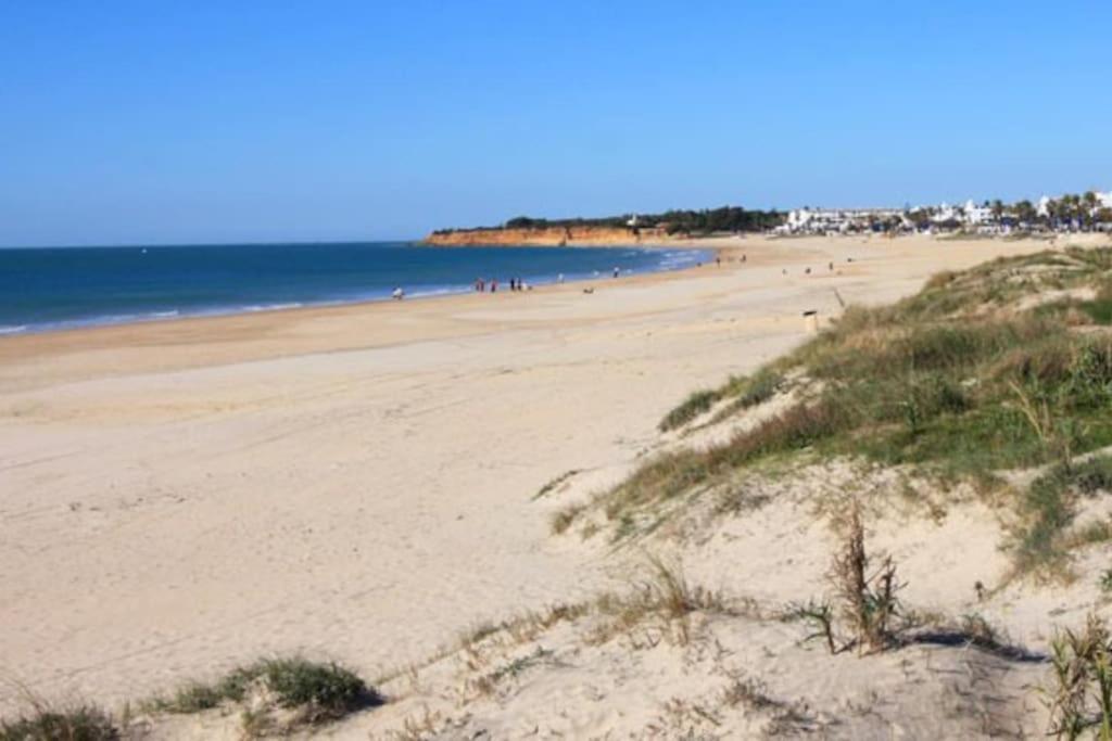 Fancy Apartment In A Historic House, Chiclana City Center By C. Dreams Chiclana de la Frontera Ngoại thất bức ảnh